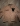 ' ~ advert.getName() ~ '
