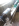 ' ~ advert.getName() ~ '
