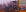 ' ~ advert.getName() ~ '