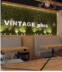 Vintage Plus