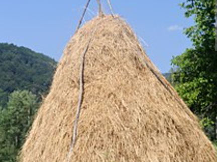 Сіно в копиці в Надвірна