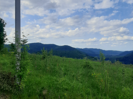 Земельна ділянка під забудову