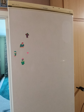 Холодильник Snaige