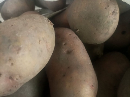 Домашня картопля