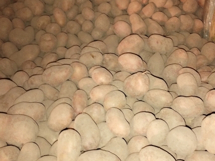 Продукти харчування