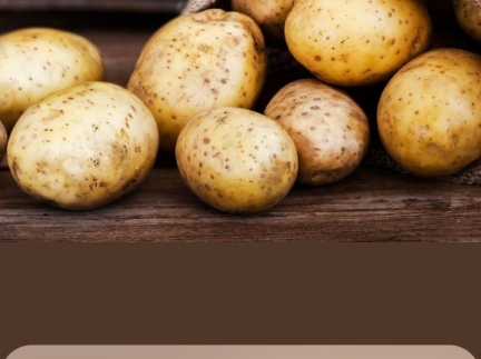 Картопля домашня
