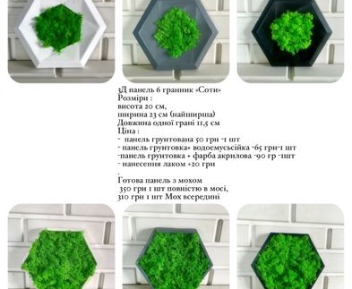 Декоративні мохові панелі