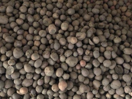 Картопя дрібна