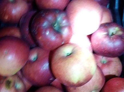 Яблука сорту Джонатан