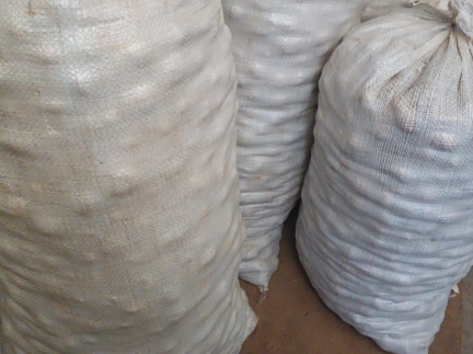 Картопля дрібна