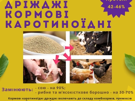 Кормові дріжджі