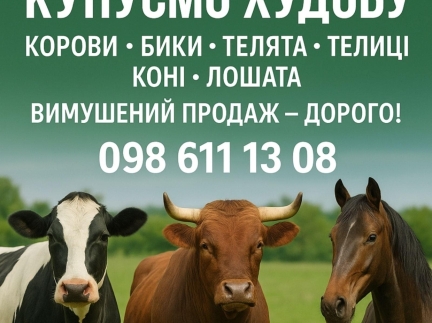Купуємо худобу