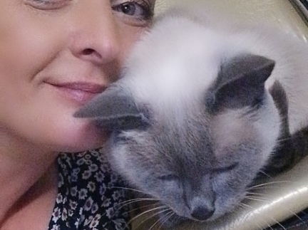 Шукаю роботу в Буковелі