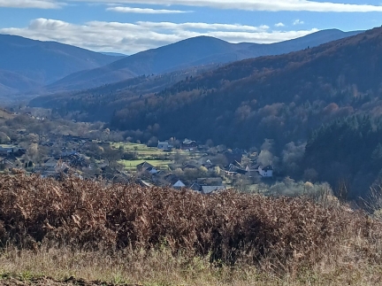 Паркет дубовий 400х40 мм