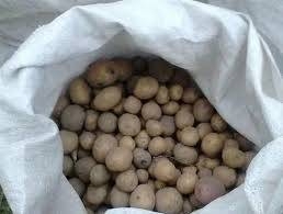 Картопля дрібна