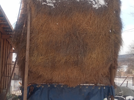 Сіно свіже цьогорічне