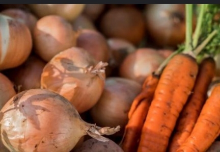 Картопля, буряк, морква, цибуля