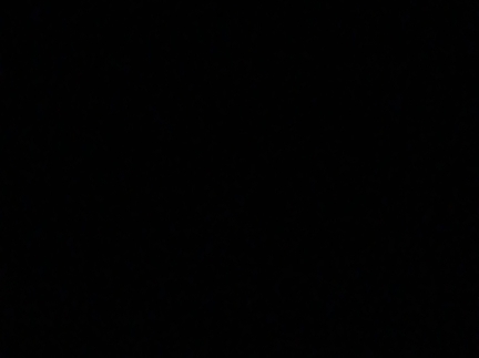 Картопля дрмашня