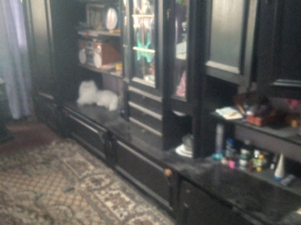 Здам 1-кімнатну квартиру