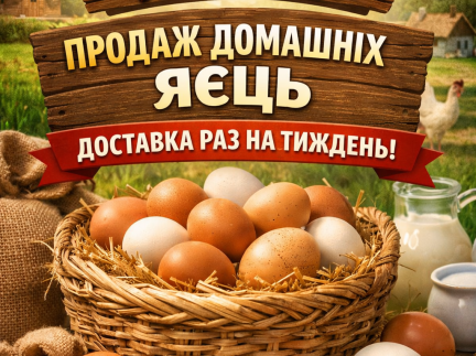 Домашні яйця