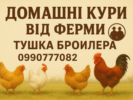 Домашня тишка бойлера