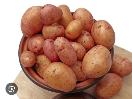 Картопля велика