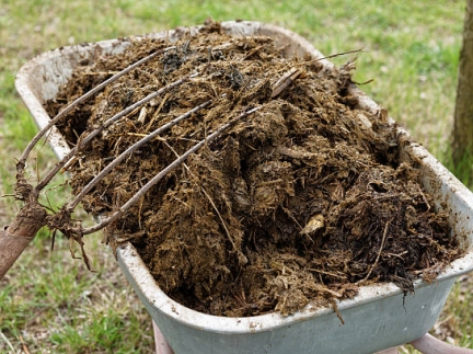 Коров'ячий перегній 🐮🐄