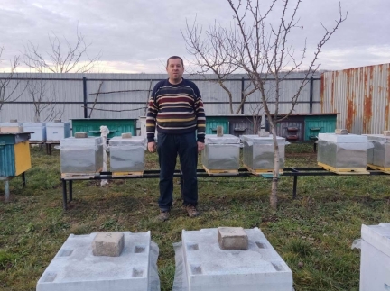 Бджолосімʼї та бджолопакети