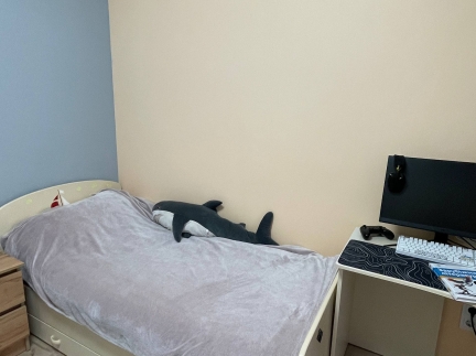 Дитячі меблі. Ліжко, робочій стіл, шафа.