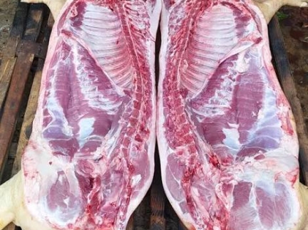 Домашнє мясо свині