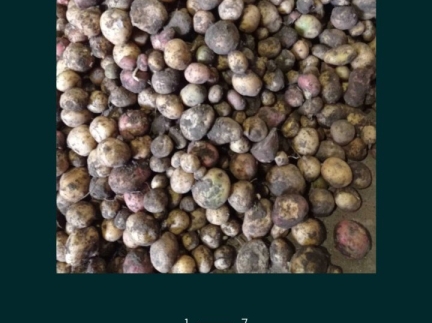 Дрібна картопля