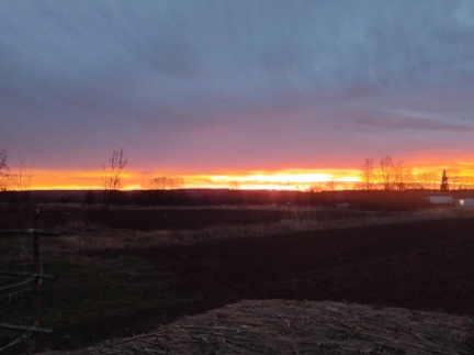 Земельна ділянка під забудову