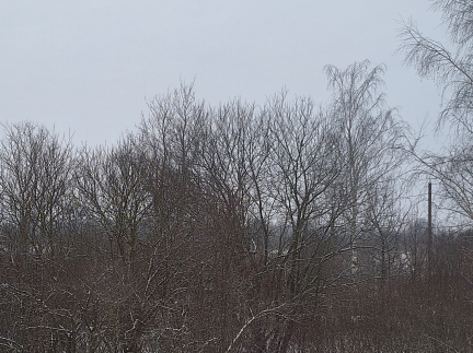 Здам квартиру