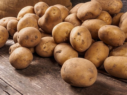 Картопля велика та дрібна