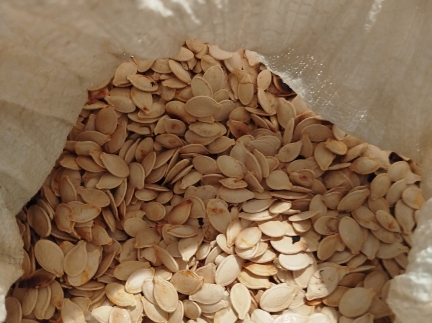 Зернята дині і гарбза