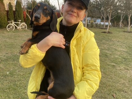 Хто загубив таксу