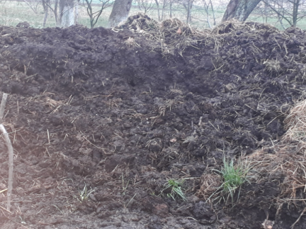 Гній для підживлення.