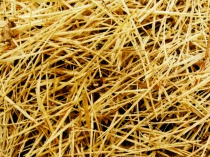 Сіно недорого продам