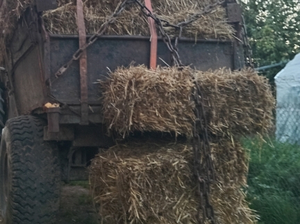 Пшеницю овес ячмінь і тюки вівсяної соломи