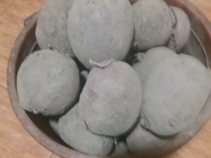 Картопля велика