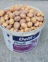 Дрібну картоплю