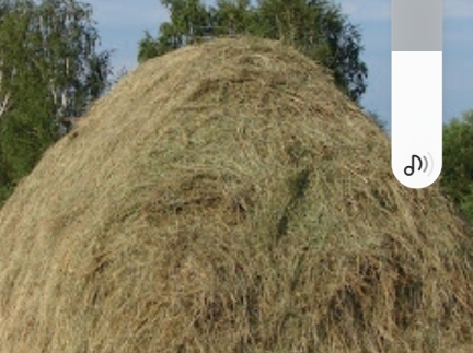 Сіно, можлива доставка