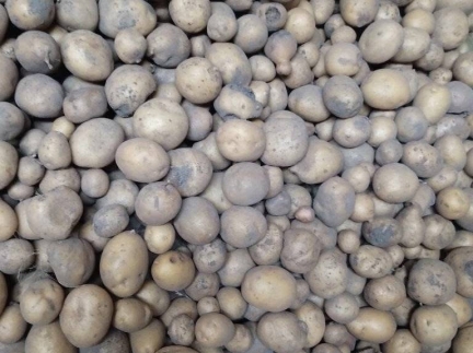 Картопля дрібна