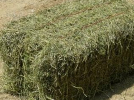 Часник, сіно, картопля, солома, кукурудза