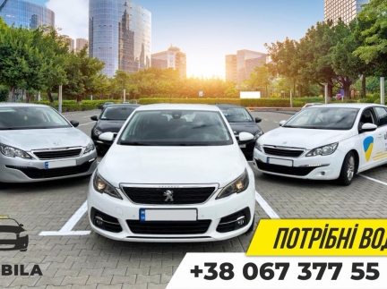 Водій таксі на ліцензовані авто