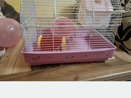 Клітка для хомяка джунгарика