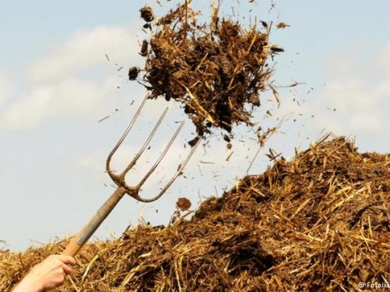 Гній , гній для городу