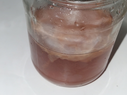 Чайний гриб комбуча