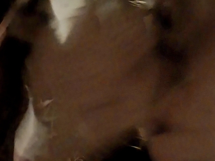 Восьмимісячну теличку