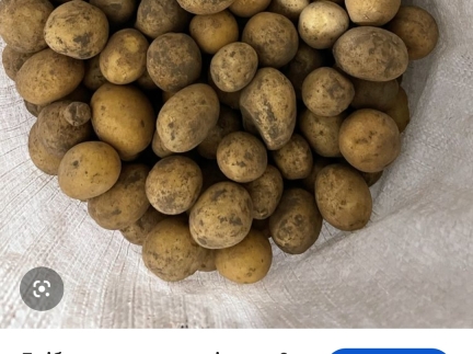 Дрібну картоплю